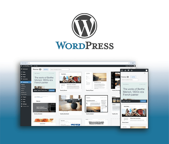 WordPress Enterprise Website Solution