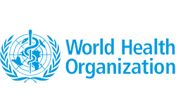 World Health Organization Healthcare Web Design