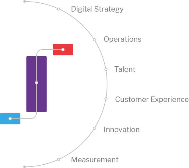 Digital Maturity Model Calculator
