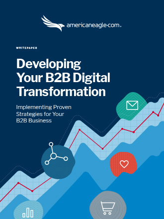 Developing Your B2B Digital Transformation