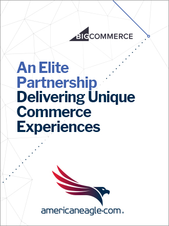 BigCommerce Agency Overview