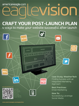 Post Launch Support Eaglevision