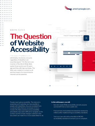 The Question of Website Accessibility Whitepaper