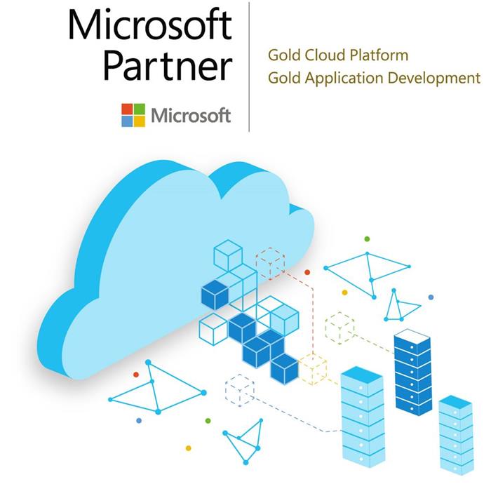 Microsoft Solution Partner