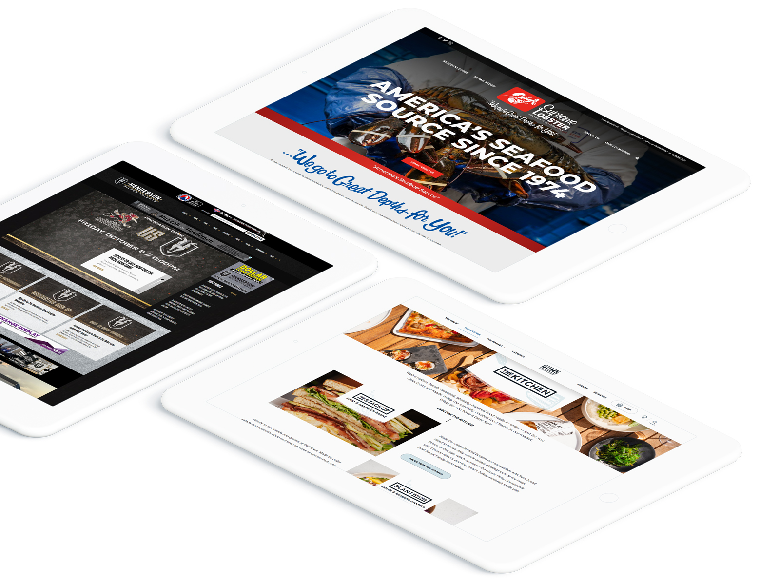 WordPress Enterprise Website Development Projects