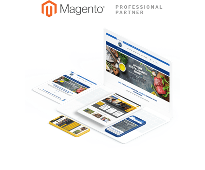 Magento Development Partner