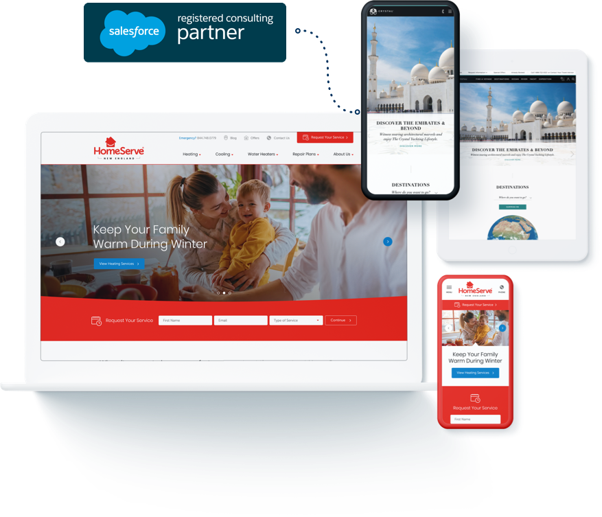 salesforce_showcase_mockup