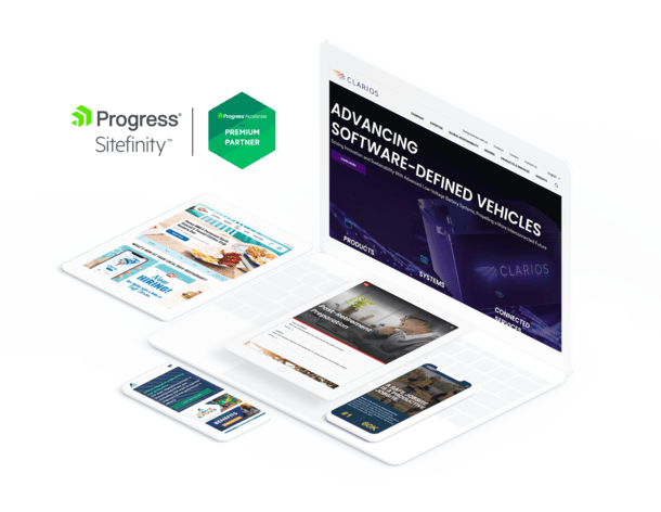 Sitefinity Development Partner