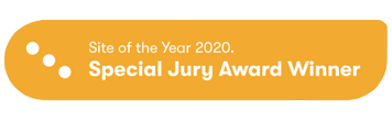 2020 kentico xperience special jury award winner