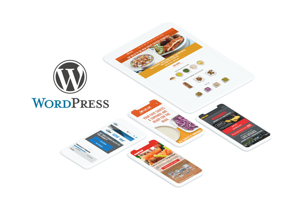 Examples of Enterprise Website Development Projects by Americaneagle.com’s Team of Expert WordPress Developers
